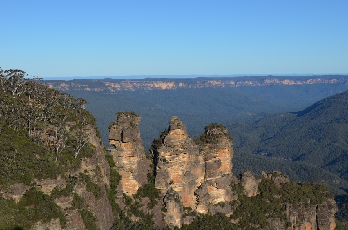 Oblivious Self Awareness