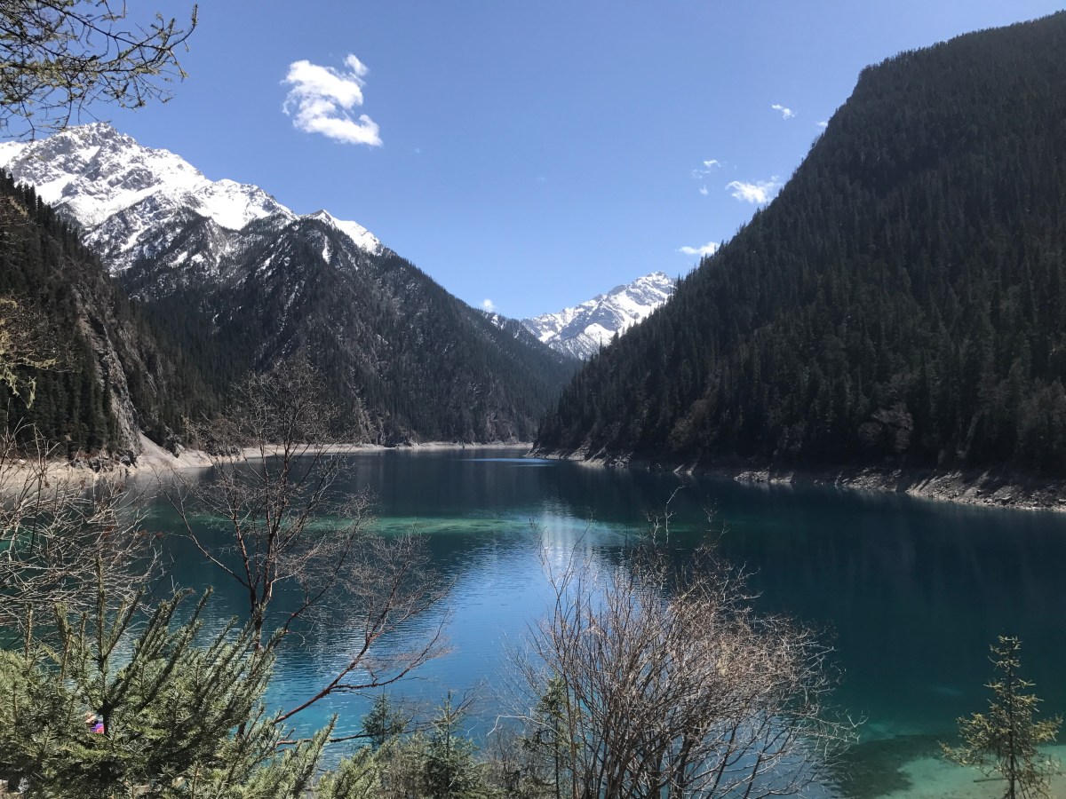 Civility Intelligence