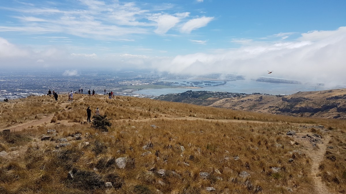 Intelligent Disobedience