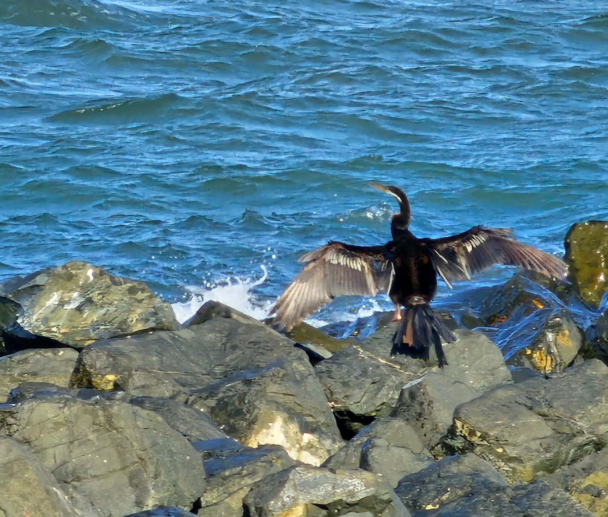 The Power of Project Management Technology Quotient&nbsp;(PMTQ)