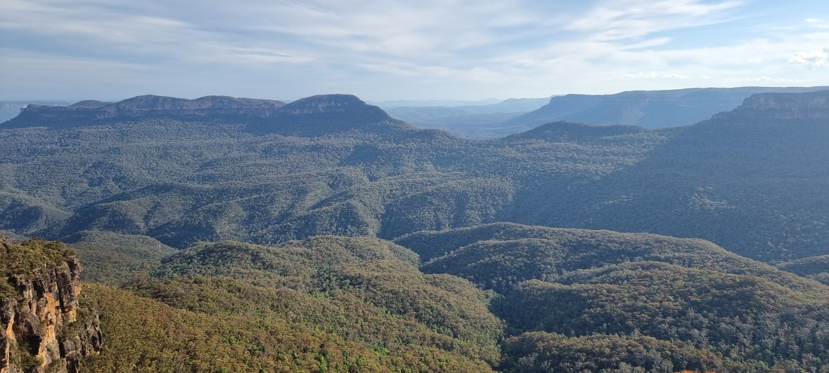 The Great Resignation – Predictions, Reality, and Ongoing&nbsp;Challenges